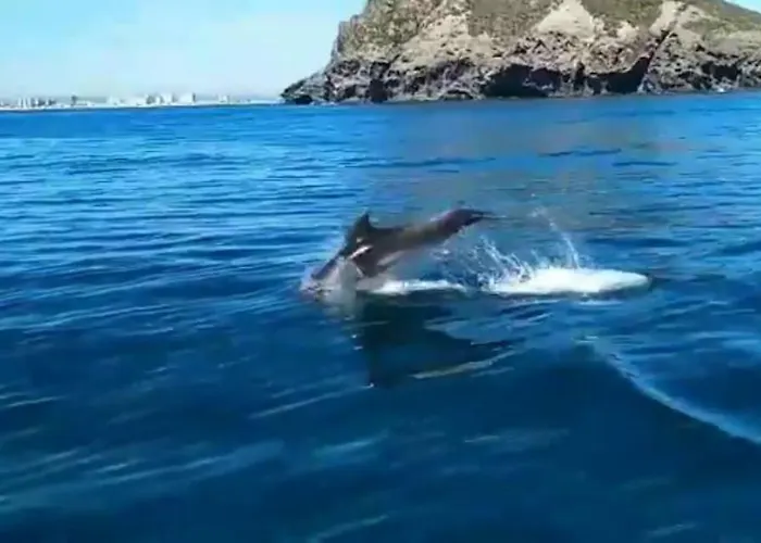 公寓 Spectacular View 拉曼加戴尔马尔梅纳